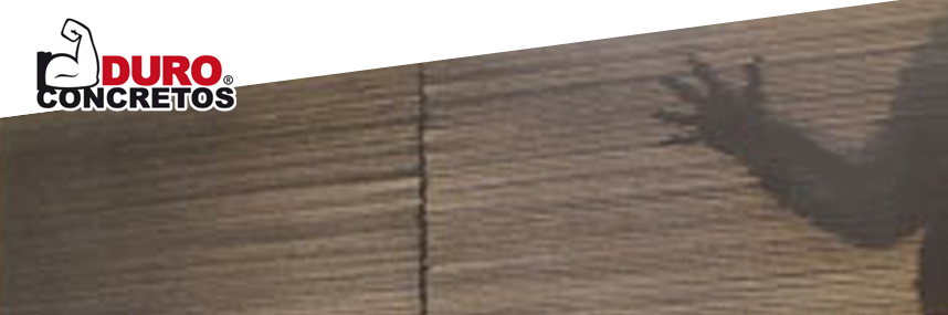 Concreto Translucido México